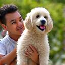 Owner happily petting her well-groomed Poodle, reflecting successful obedience training.